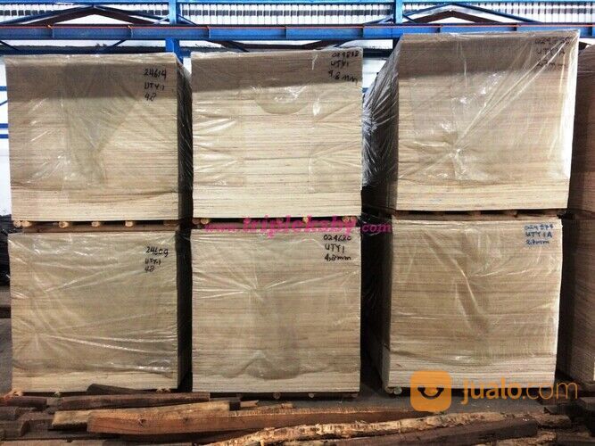 tebal 3mm 4mm 5mm 8mm 9mm 12mm 15mm 18mm Triplek Plywood Surabaya cor proyek