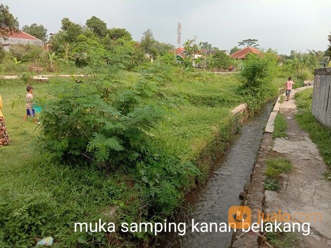 Tanah Dekat IPB Dramaga Bogor, RS Medika Dramaga, Giant Dramaga, Sekolah BBS, Terminal Bubulak