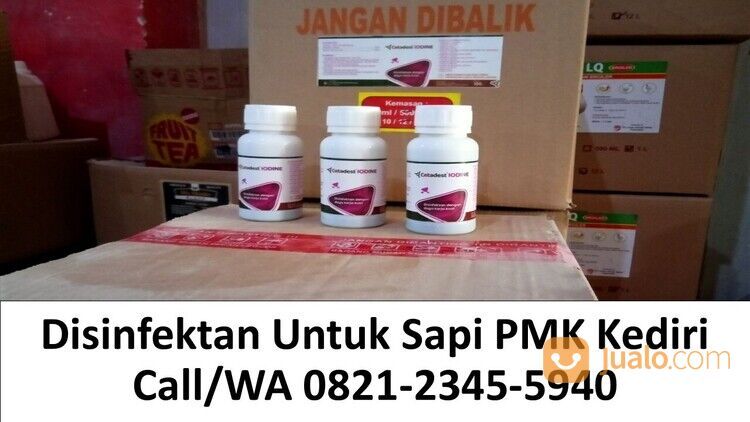 TERBAIK, Desinfektan Kandang Ayam Terbaik Melayanani Pengiriman Gurah Kediri