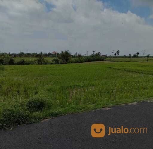 Tanah 35 are, Jl. Pantai Mengening Pantai Seseh Cemagi Mengwi Badung