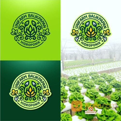 jasa desain logo kemasan murah meriah profesional 2480