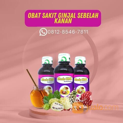 Obat Sakit Ginjal Sebelah Kanan Madu KMK (0812-8546-7811)