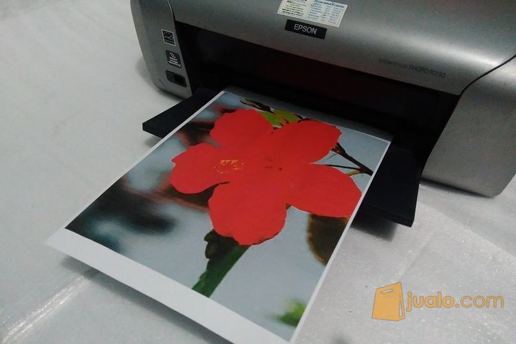 Printer Epson R230 normal siap pakai.