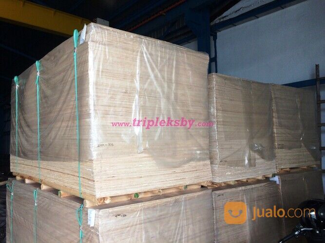 tebal 3mm 4mm 5mm 8mm 9mm 12mm 15mm 18mm Triplek Plywood Surabaya cor proyek