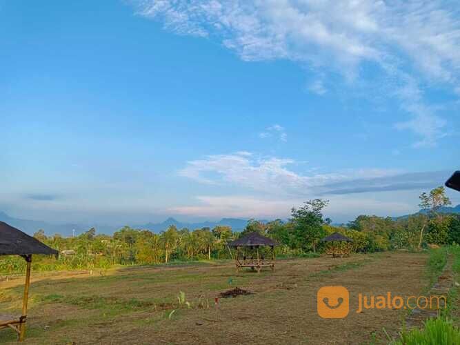 tanah shm puncak 2 bogor