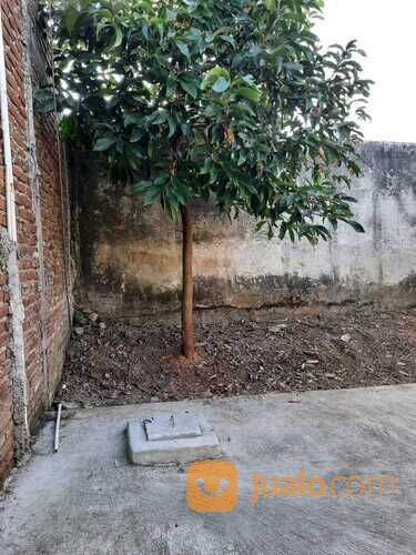 Rumah Siap Huni PInus Regency