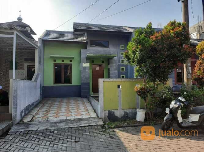 Rumah Siap Huni PInus Regency