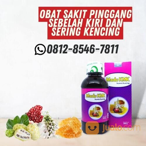 obat sakit pinggang sebelah kiri dan sering kencing 5