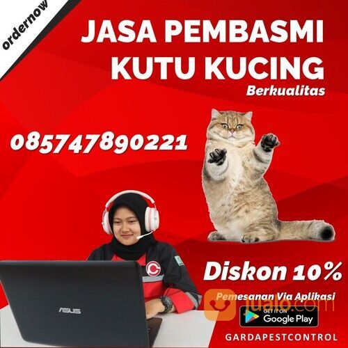 Jasa Pembasmi Kutu Loncat Bandung | 0857-4789-0221 - Garda