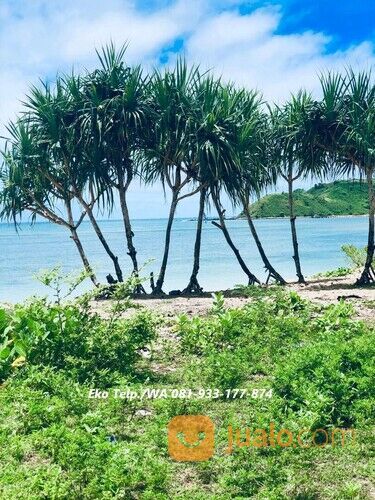 Tanah MURAH Tepi Pantai Wisata Sokat Awang Lombok