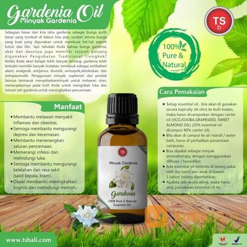 TSBali Gardenia Oil Minyak Gardenia Essential Oil 100% Murni 20ML