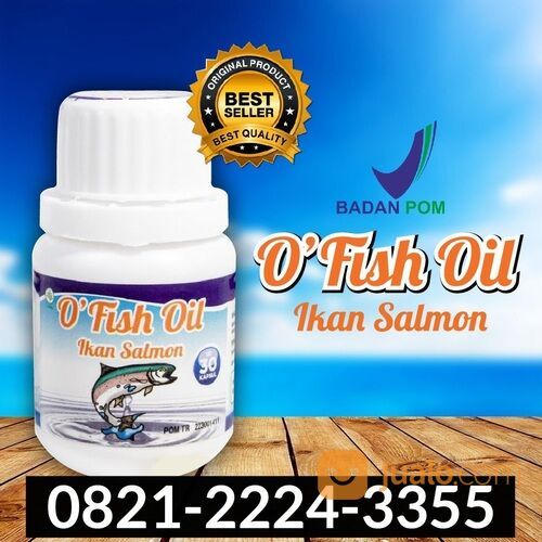 0821 2224 3355 Grosir O Fish Oil Minyak Ikan Salmon Omega 3 Di Jawa Tengah  di Kota Semarang, Jawa Tengah