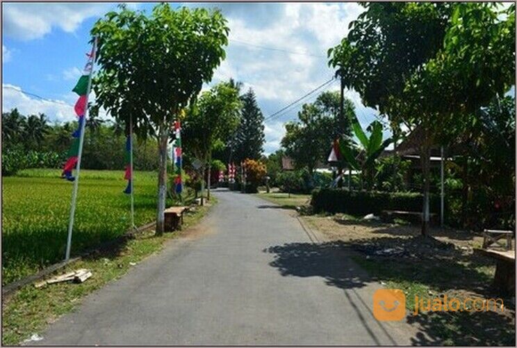 6 Menit Kampus UMM Magelang. Legalitas SHM