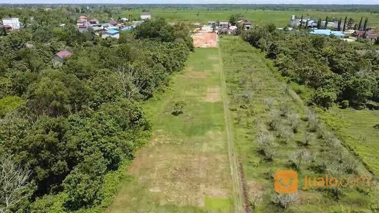 Tanah Sangat Strategis Ikn Penajam Paser Utara Di Kalimantan Timur Di