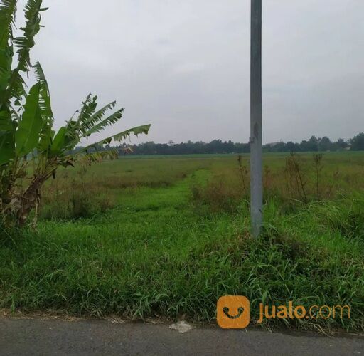 Tanah Sawah Murah di Balongbendo Sidoarjo