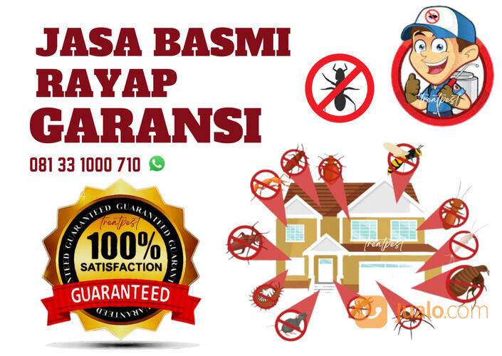 Cara Mengatasi Serangan Rayap pada Kusen Kayu Surabaya