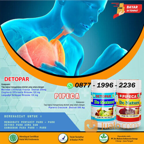 Obat Batuk Menahun Kronis Tuberkulosis Batuk Rejan Batuk gatal TBC Batuk TBC Kronis