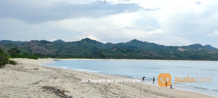 Tanah Tepi Pantai Pasir Putih di Pengantap Lombok