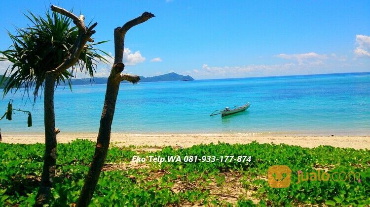 Tanah Tepi Pantai Pasir Putih di Pengantap Lombok