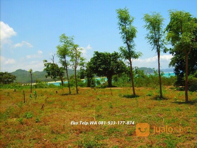 Tanah Tepi Pantai Pasir Putih di Pengantap Lombok