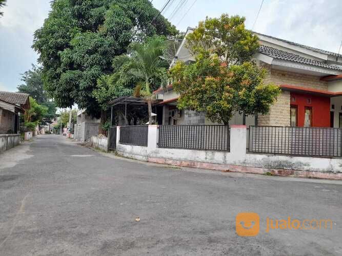 Rumah utara jambon resto Jl. kabupaten