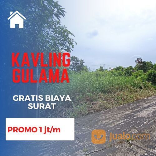 Tapak Rumah Gulama Paus di Tengah Kota Pekanbaru, SHM