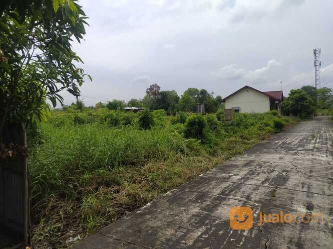 Tapak Rumah Gulama Paus di Tengah Kota Pekanbaru, SHM