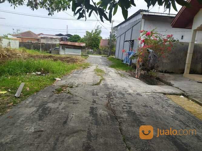 Tapak Rumah Gulama Paus di Tengah Kota Pekanbaru, SHM