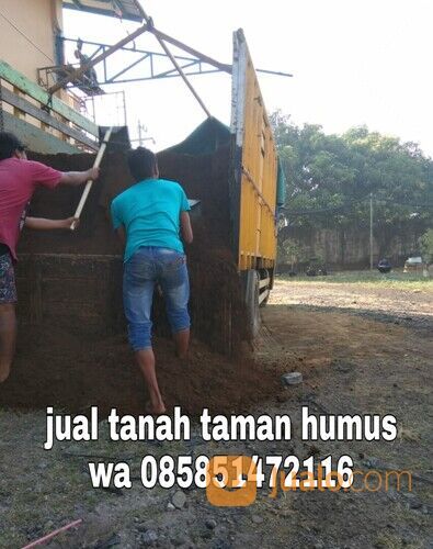 Harga tanah humus subur kepanjen termurah