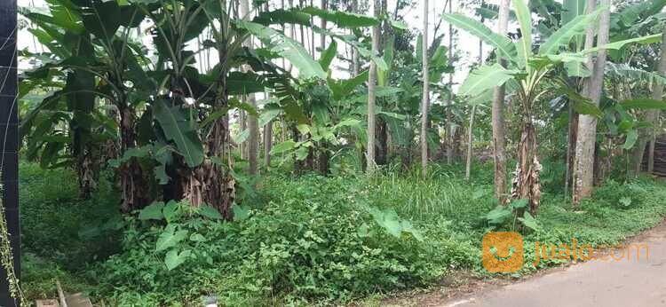 Tanah Murah Cocok Untuk Investasi Belakang Alfamart di Gedanganak