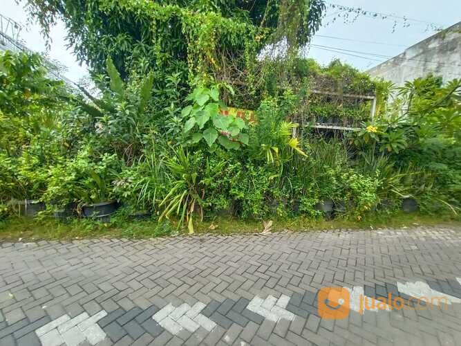 Tanah Siap Dibangun Jl Menjangan Palebon kecamatan Pedurungan