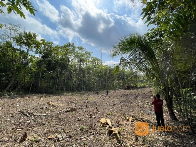 RUMAH ETNIK JAWA MODERN 1 LANTAI HARGA PROMO, LOKASI KULONPROGO DEKAT BANDARA