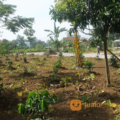 Tanah Kec. Tarogong Kaler Wisata Gunung Guntur Terima SHM