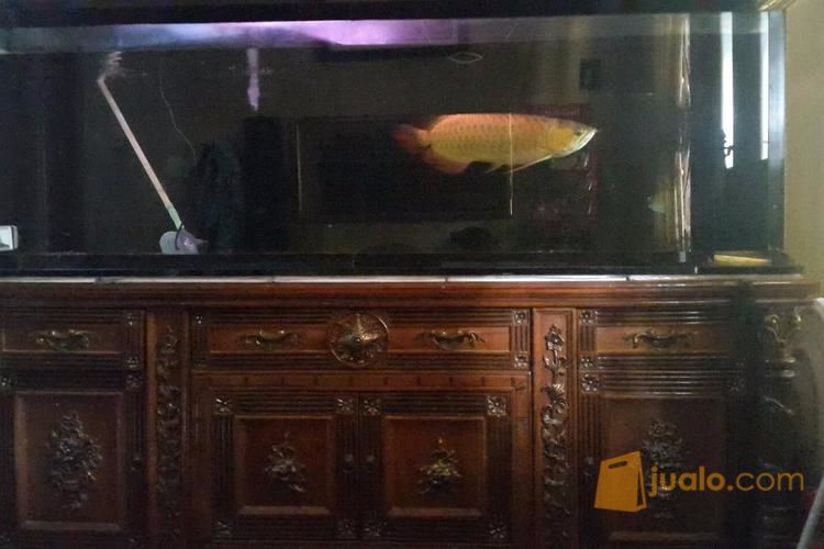 Ikan Arwana Super Red + Aquarium di Kota Depok, Jawa Barat | Jualo.com
