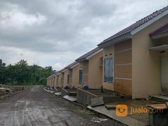 Bob Frisuren in Kupfer – Der Trend für 2025! Frischer start ins neue jahr: diese 3 bob-trends werden 2025 alle tragen