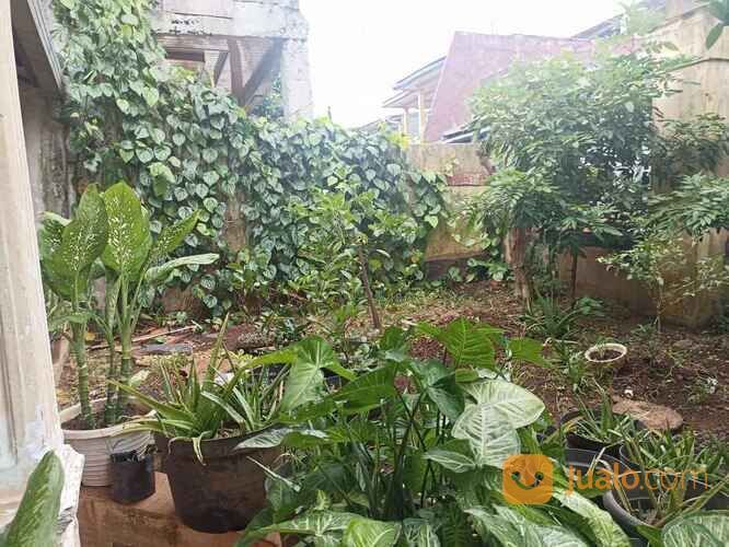 Tanah Bonus Rumah di Jl Buni Malaka Cipayung dekat Mabes TNI Cilangkap