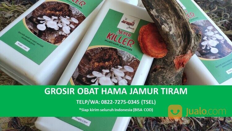 BERKUALITAS! TELP/WA : 0822-7275-0345, Harga Obat Pembasmi Hama Jamur Tiram Palembang