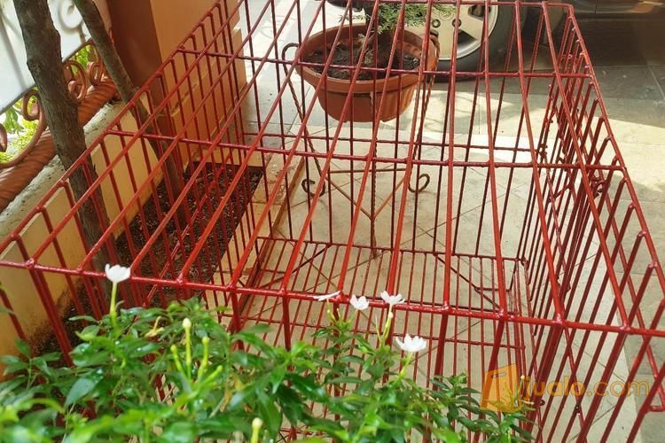 Kandang Anjing & Kucing Besi Ukuran Medium-Large