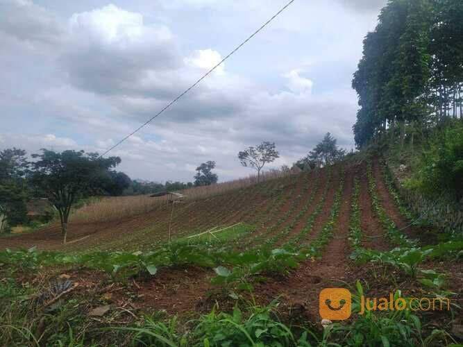 Tanah Ekonomis Bandung, Area Perumahan Sukanagara Soreang, SHM