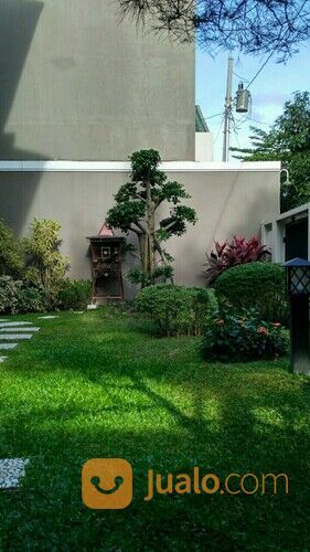 Tukang taman jasa taman jogja