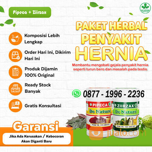 Obat Turun Berok, hernia, varikokel, Varises Ringan, Hernia Menahun