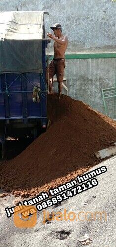 Tanah Taman Kota Kediri Tanah Subur Untuk Media Tanaman