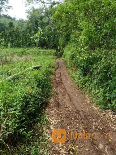 Tanah Luas Murah Super Strategis Di Pinggir Jalan Aspal Bumiaji Batu