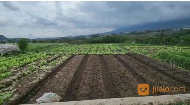 Tanah luas dengan view pegunungan di kota Batu