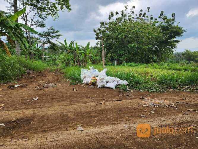 Tanah Murah Luas 120m Di Malang Kota Area Kampus Di Kota Malang Jawa Timur 3644