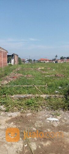 Rumah Sederhana Konsep Minimalis Lingkungan Asri Pedesaan
