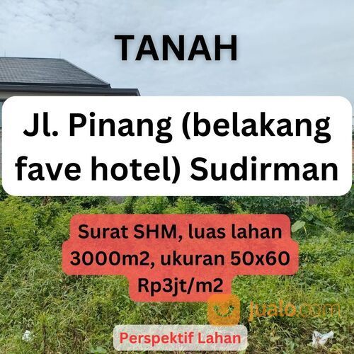 Tanah Jl. Pinang (belakang fave hotel)