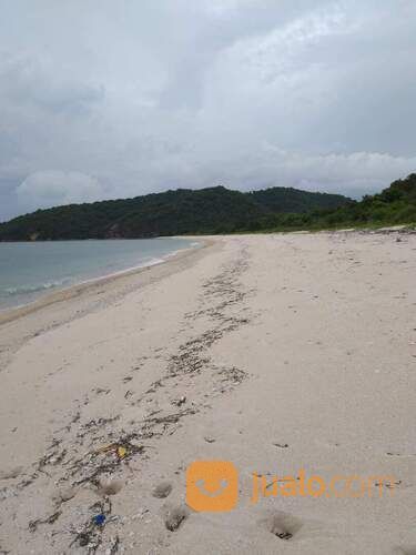 Tanah Pinggir pantai Jelenga Sumbawa