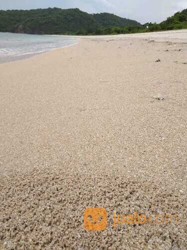 Tanah Pinggir pantai Jelenga Sumbawa