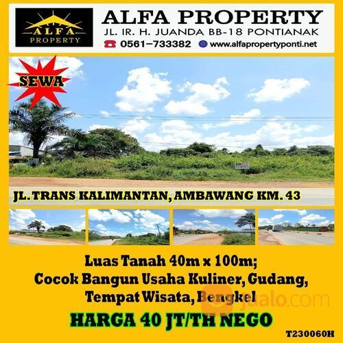 Alfa Property Tanah Harga Murah Luas 4000 m2 Trans Kalimantan Kota Pontianak